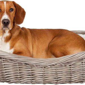 Home Dog Rattan Decor