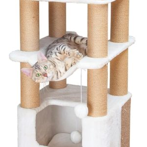 Rumah Kucing Mewah Rope Anggora dan Persia